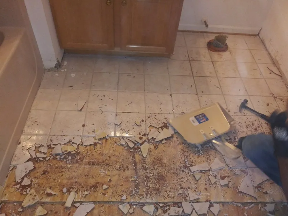 Slide of D Kings Creations