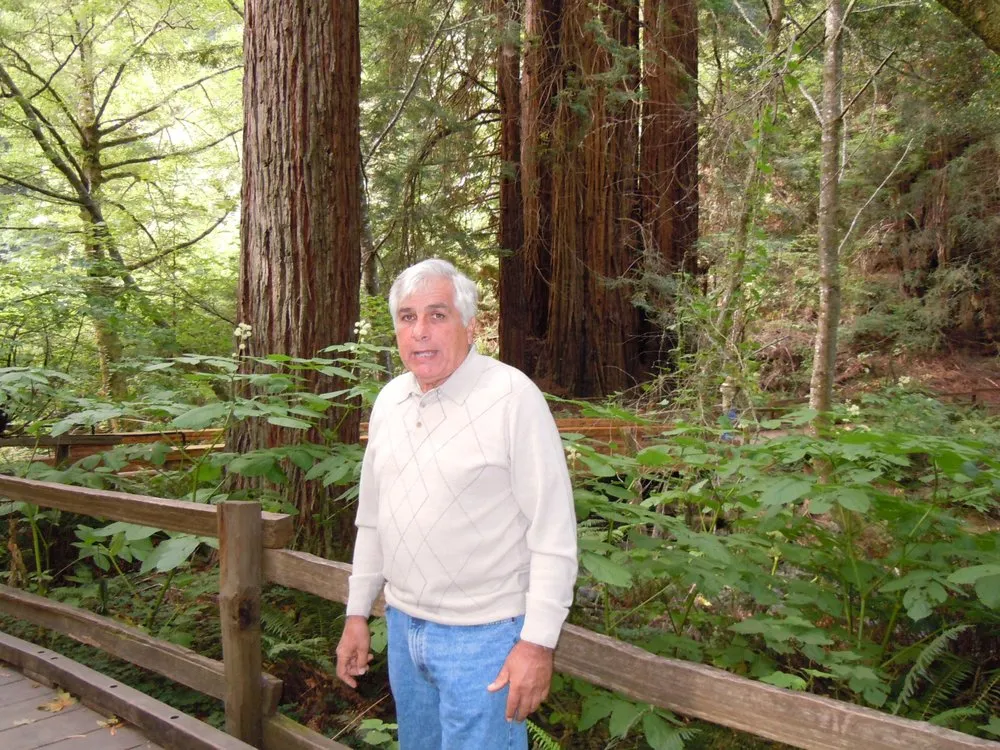 Slide of D Sal Electrical Contractors