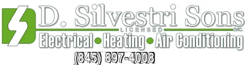 Slide of D. Silvestri Sons