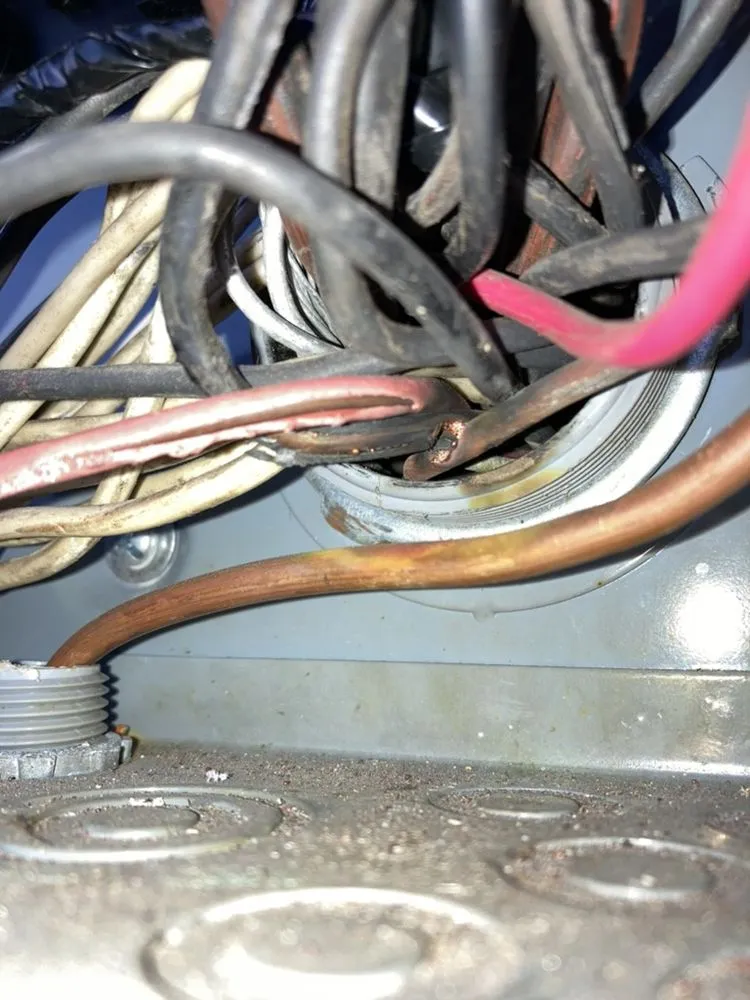 Slide of D Sykes Electric