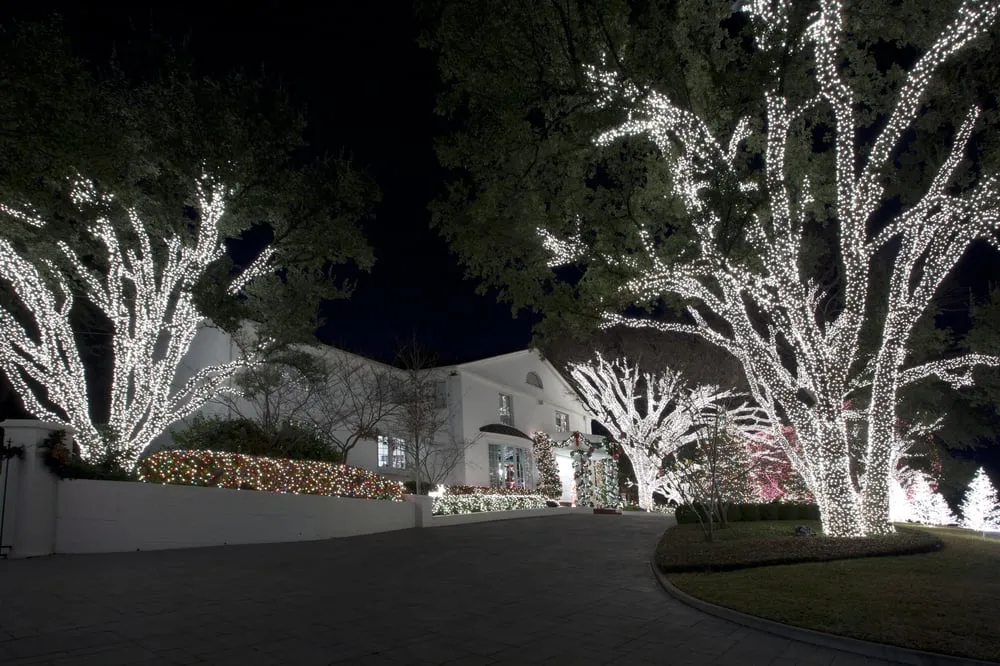 Slide of D-Tek Christmas Creations