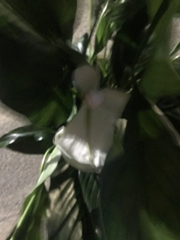 Professional electrician providing emergency electrical service in , 