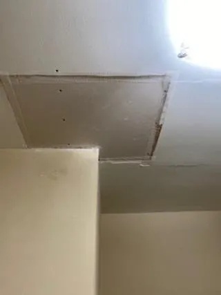 Slide of D2D Electrical