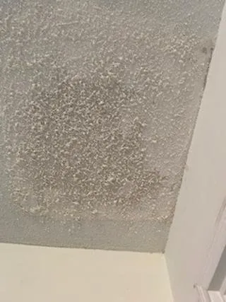 Slide of D2D Electrical