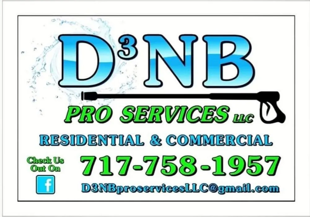 Slide of D3NB Pro Services