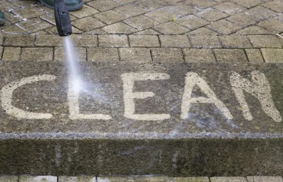 Slide of D3NB Pro Services