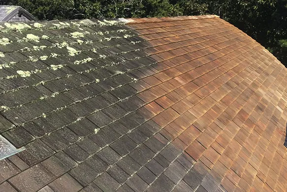 Slide of D3NB Pro Services