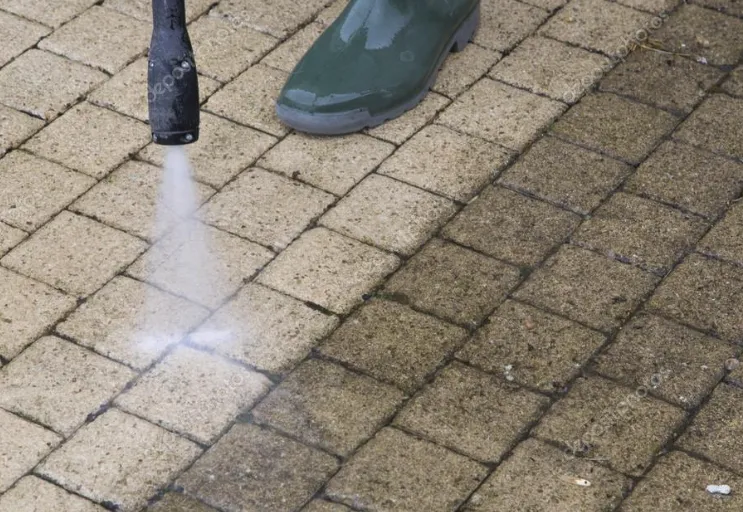 Slide of D3NB Pro Services