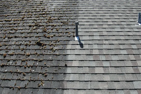 Slide of D3NB Pro Services