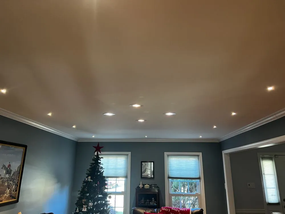 Slide of Dacia Electric