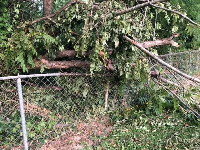 Slide of Dads Handyman Service Of Alton