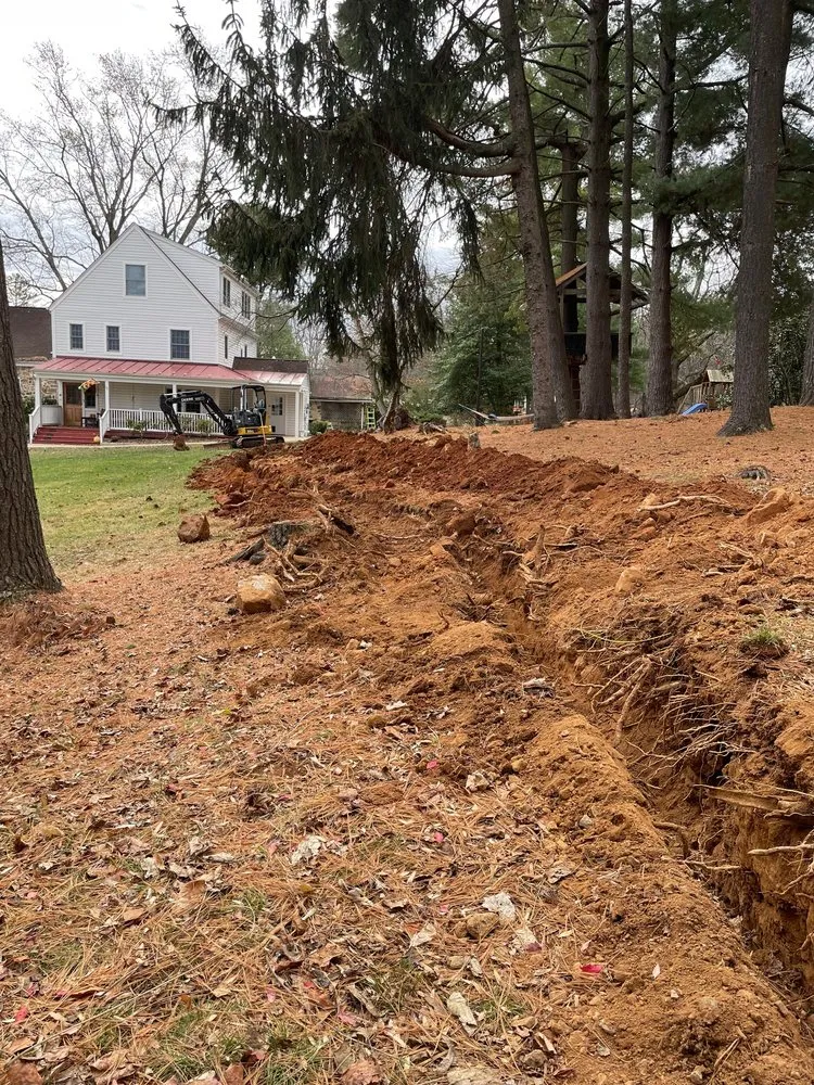 Slide of Dago Electric