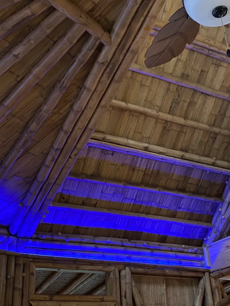 Slide of DaKine Electric