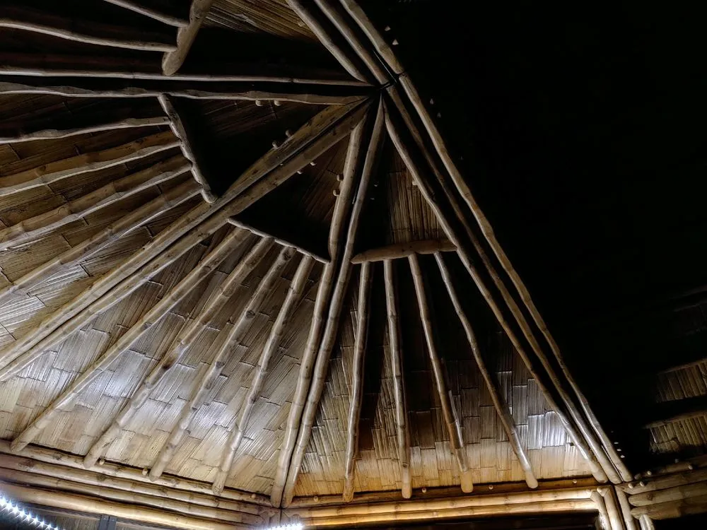 Slide of DaKine Electric