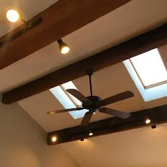 Slide of Dalalelis Electric