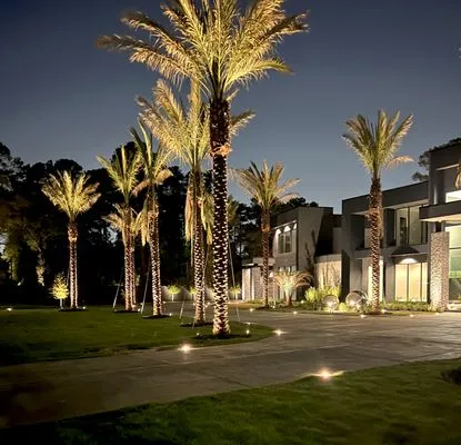 Dallas Lightscapes Logo