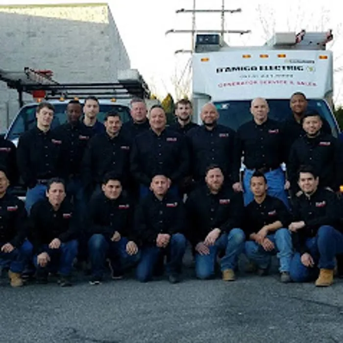 Slide of D'Amico Electric