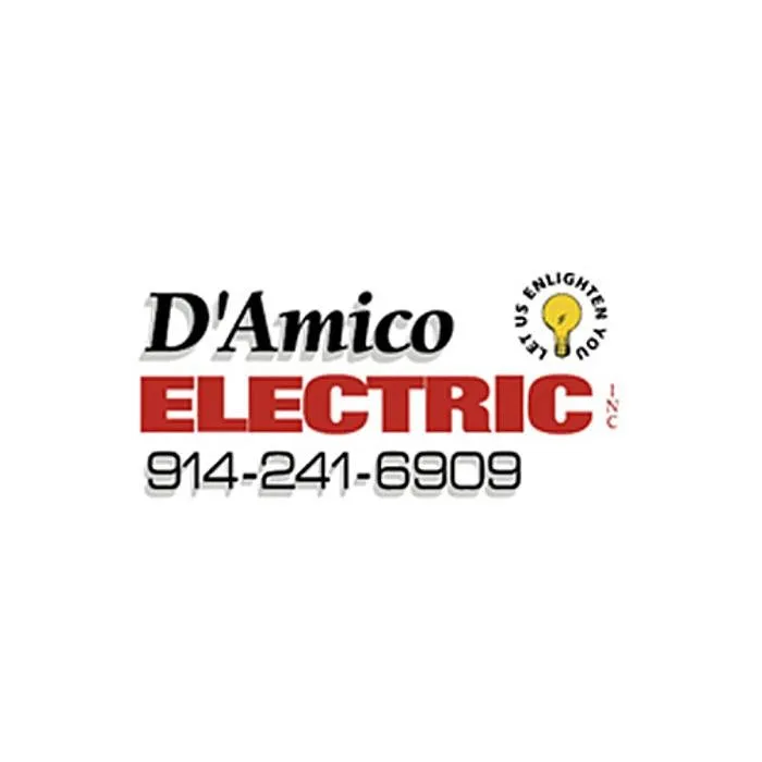 Slide of D'Amico Electric
