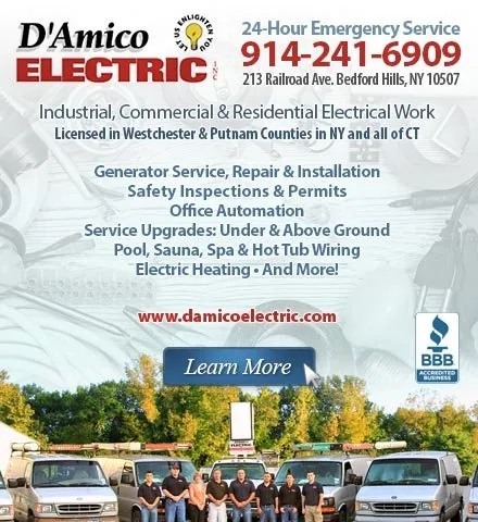 Slide of D'Amico Electric