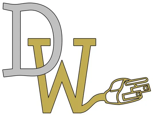 Damien Wells Electric