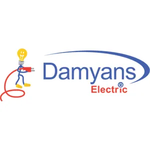 Slide of Damyans Electric