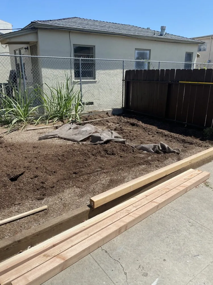 Slide of Dan Handyman