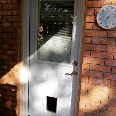 Dan Handyman Services Logo