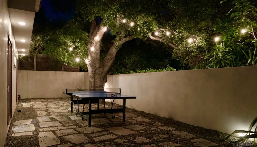 Slide of Dan The Handiest Man!