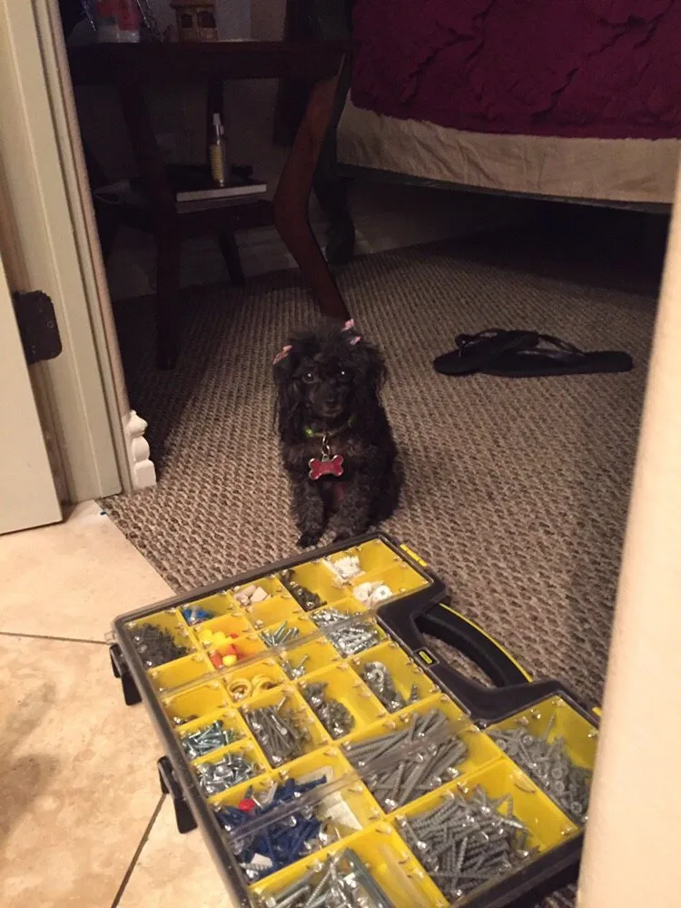 Slide of Dan The Handiest Man!