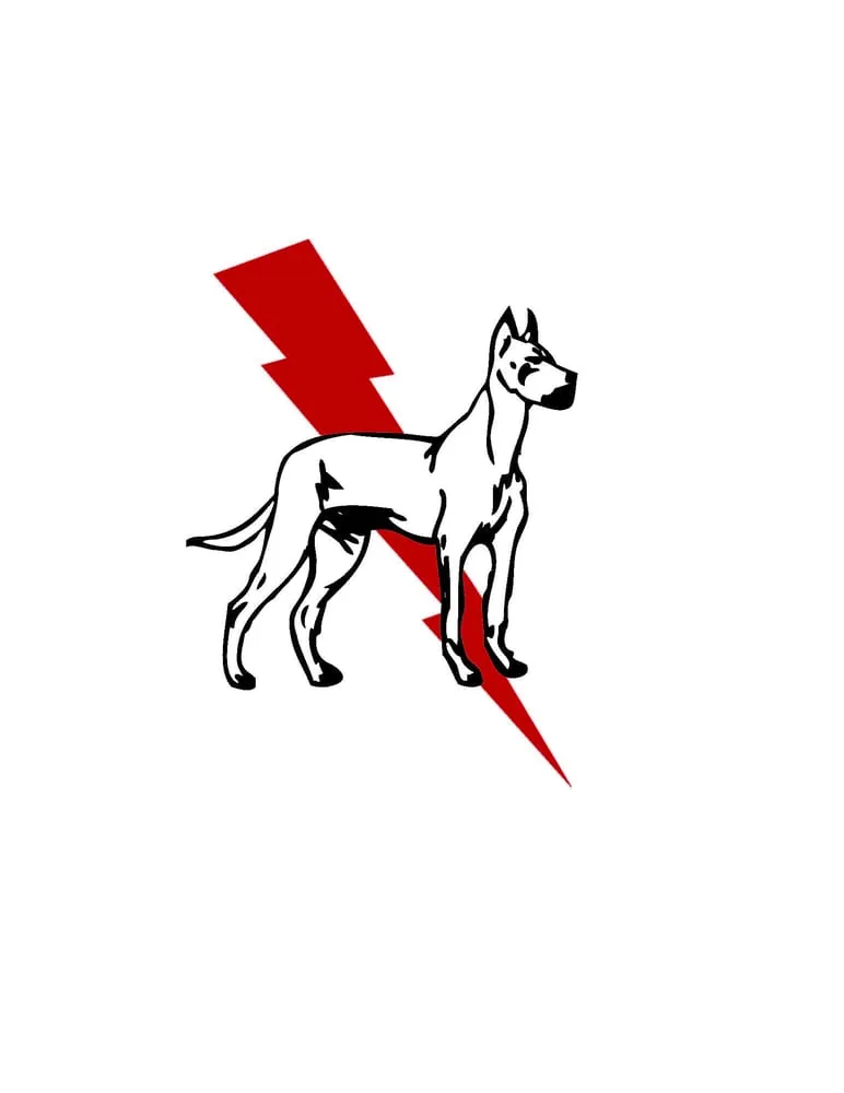 Slide of Dane Electric