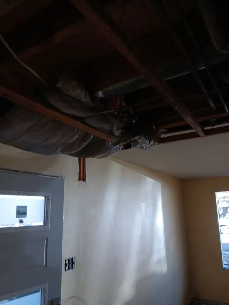 Slide of Danelectric