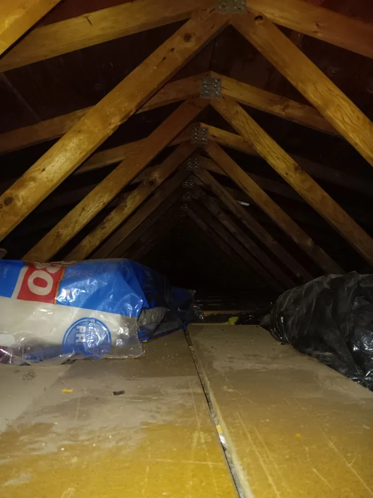 Slide of Danelectric