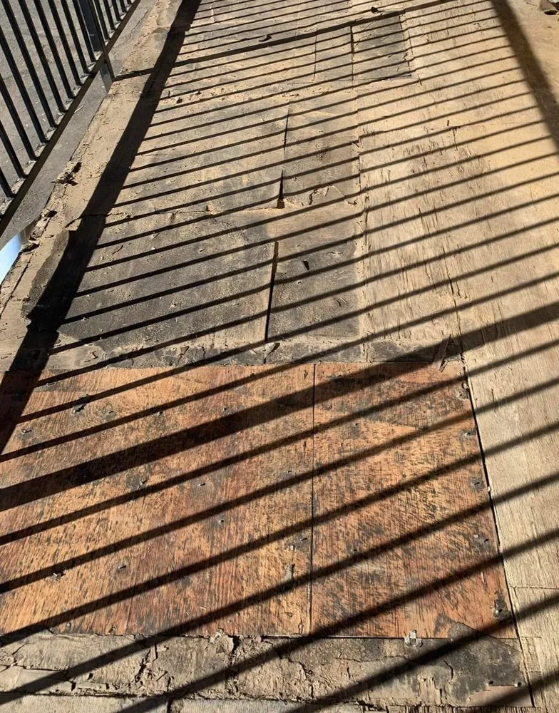 Slide of Daniel Amaya