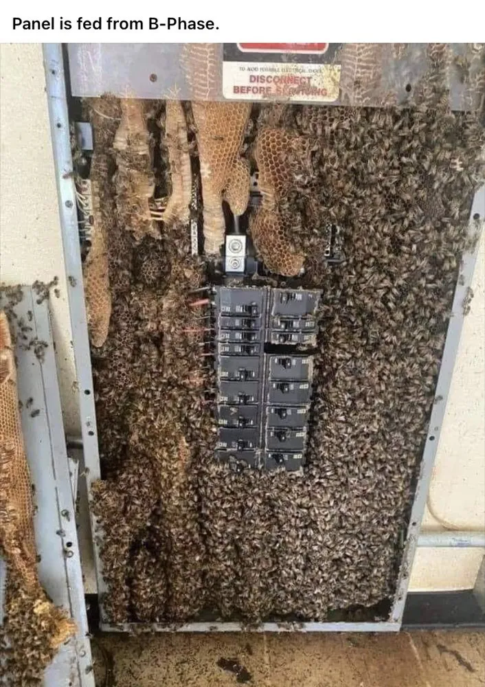 Slide of Daniel Building Services