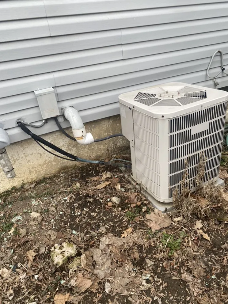 Slide of Daniel Building Services