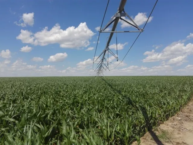 Slide of Daniel Electric