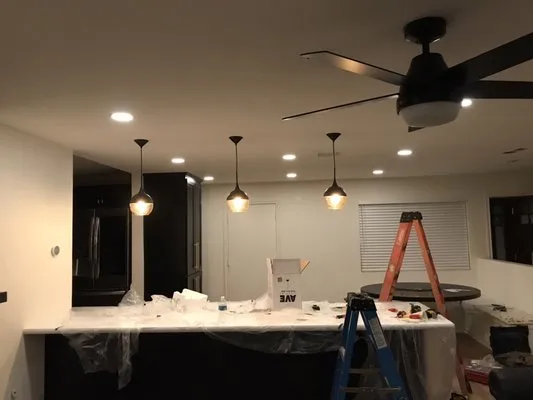 Daniels Electric Logo