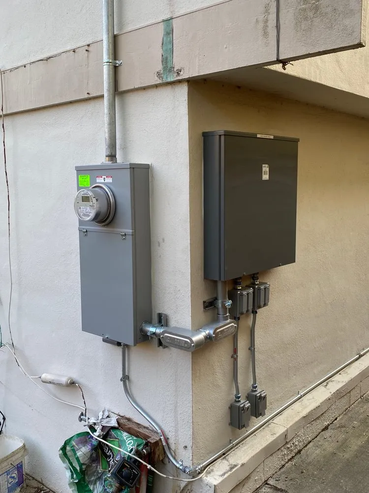 Slide of Danios Electric