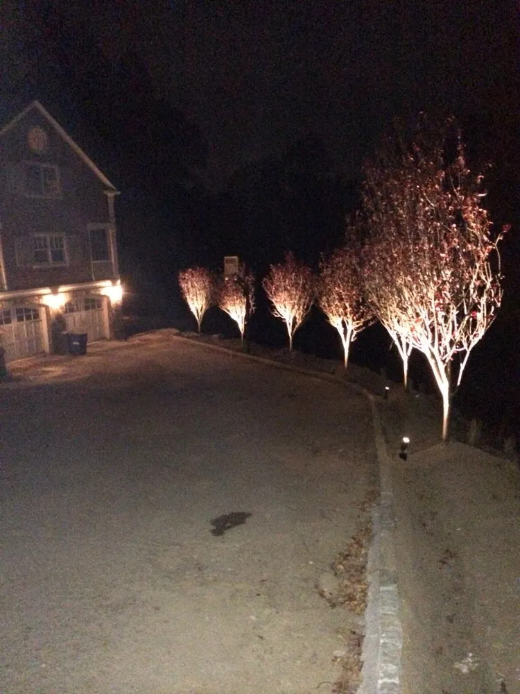 Slide of Danmar Electric