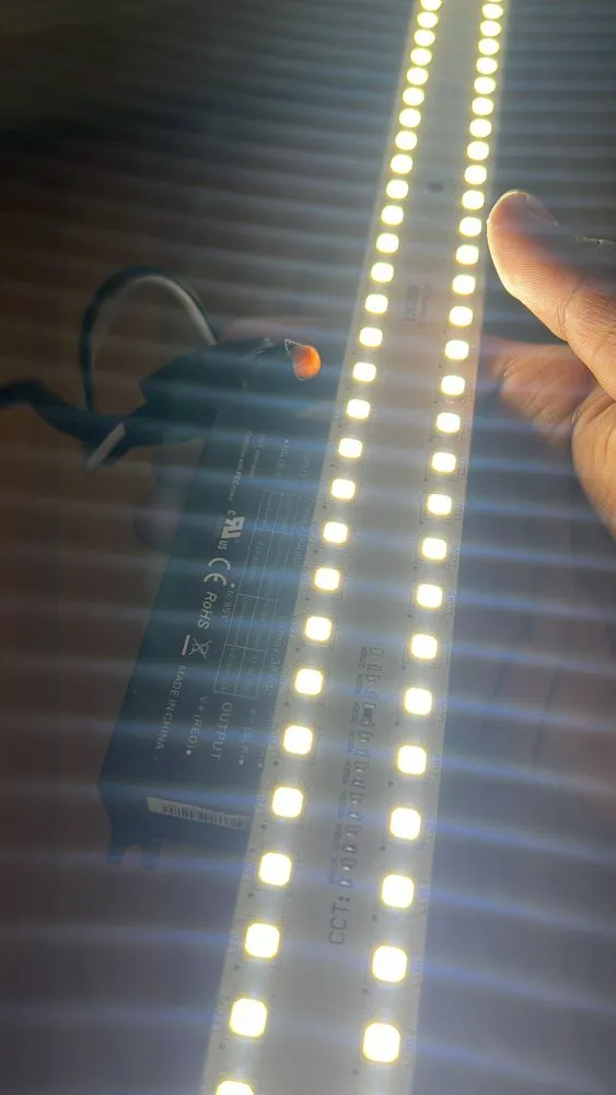 Slide of Danny Electric