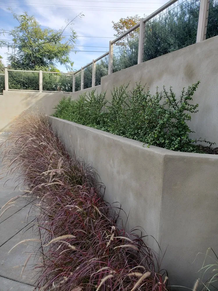 Slide of Darcy Brandon Landscape Architect