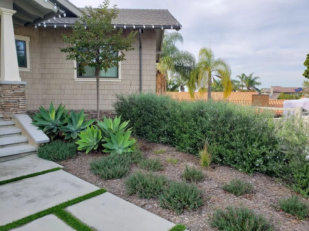 Slide of Darcy Brandon Landscape Architect