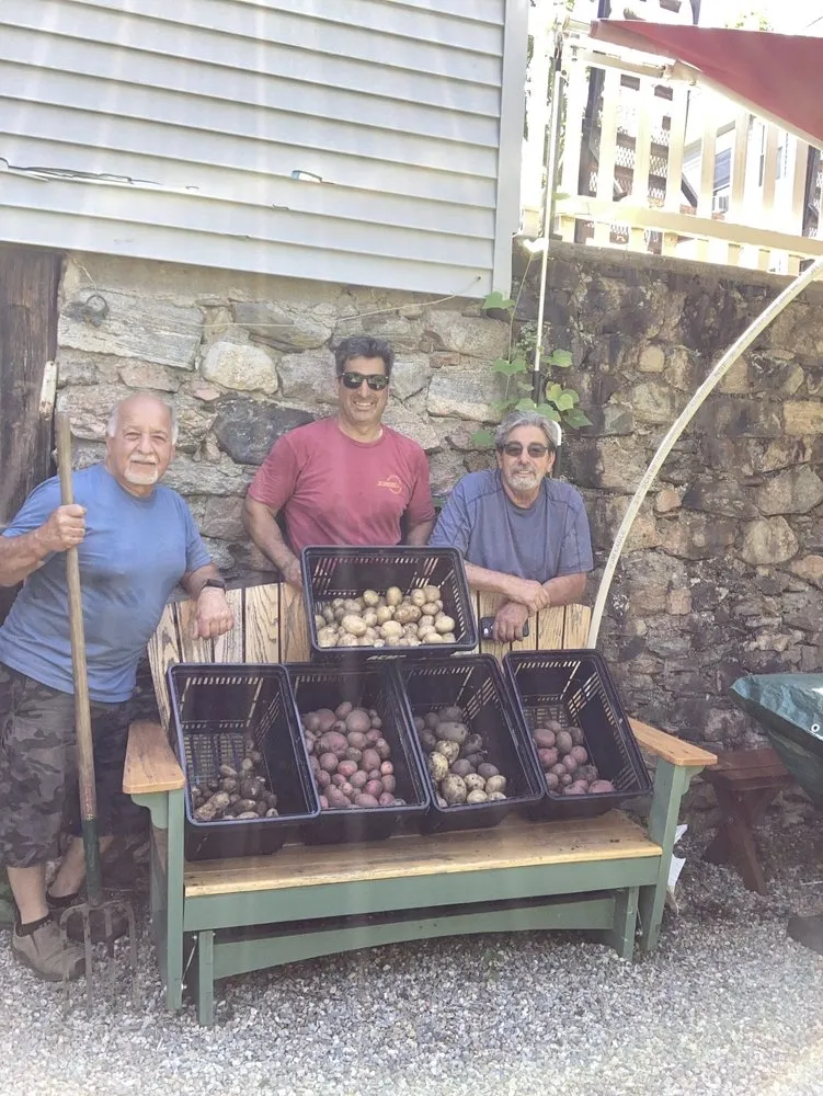 Certified panel upgrade in , by D'arinzo Electric & Contracting