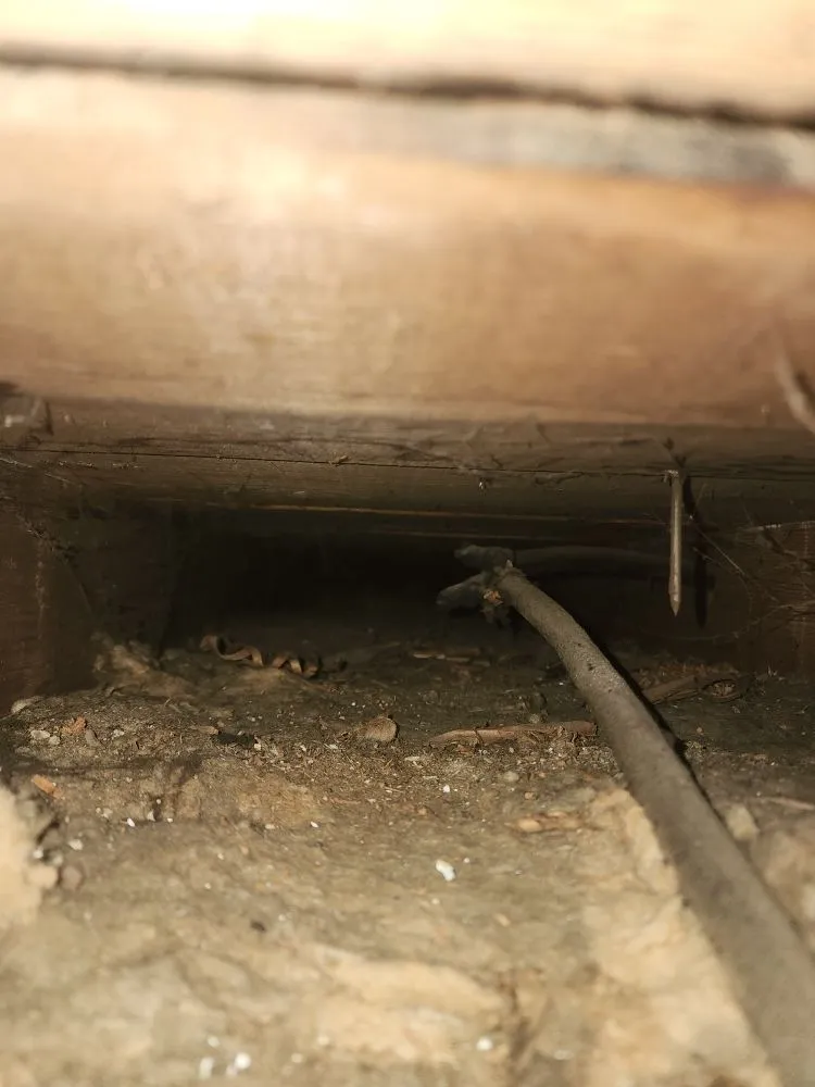 Expert panel upgrade in ,  by Dave Hurst Electric Service