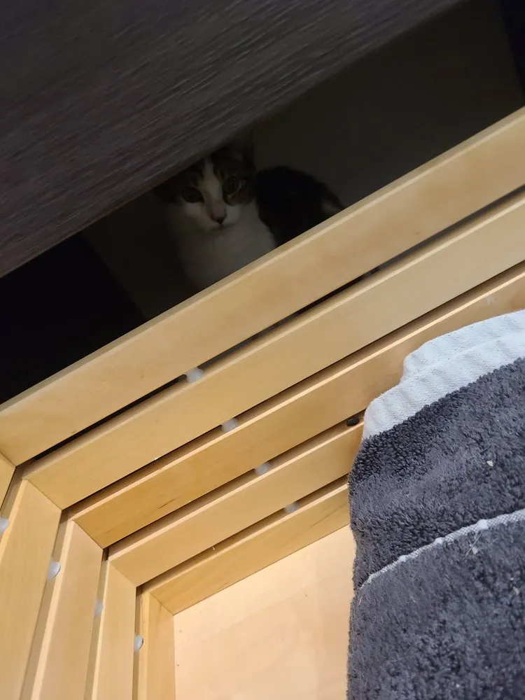 Reliable lighting installation experts serving ,  - Dave Waye Handyman Services