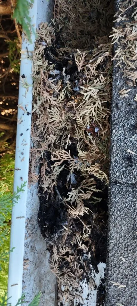 Slide of Dave's Handyman Services