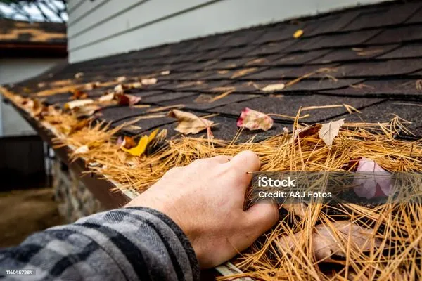 Dave's Handyman Services