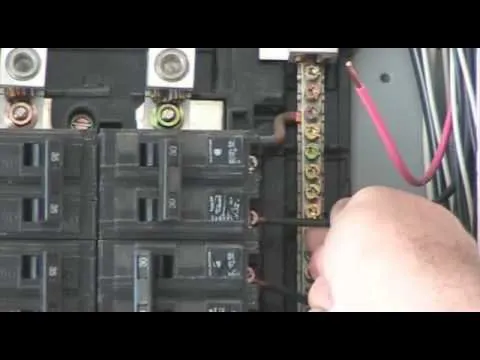 Slide of David Dean Gibbs