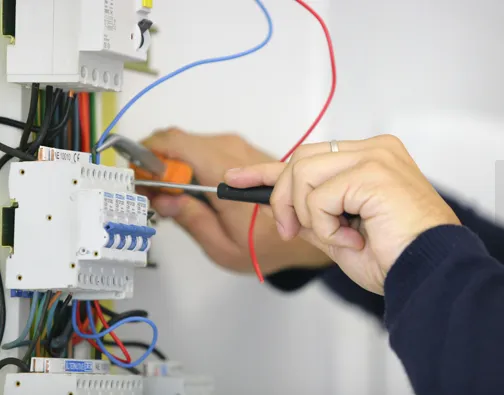 Slide of David Electric