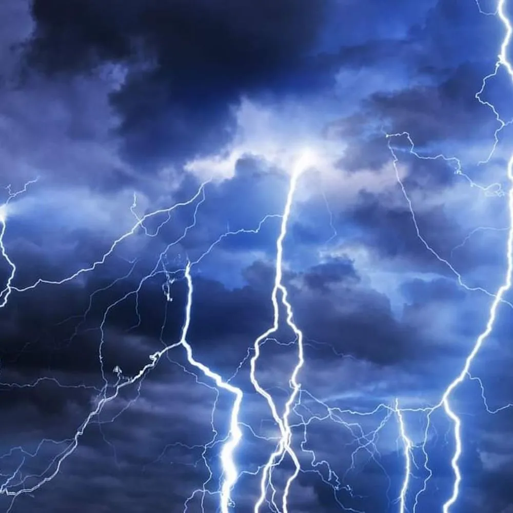 Slide of David Electric